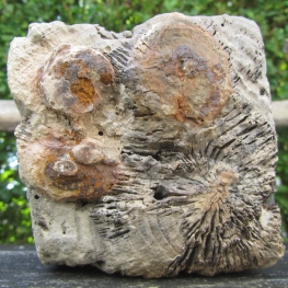 Shaped by Nature, Shaped by Men 2