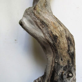 Shaped by Nature, Shaped by Men 3