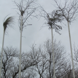 Kraaiennest 1     Shaped by Nature / Shaped by Men