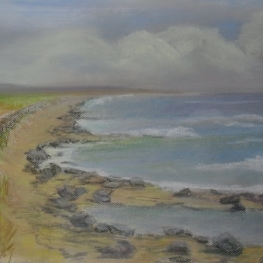 Vogelreservaat Oostkust Engeland