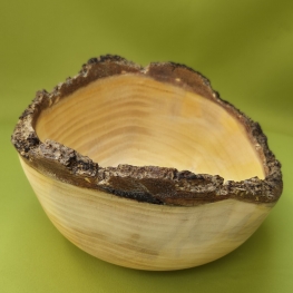 ginkgo biloba ( Japanse notenboom) 