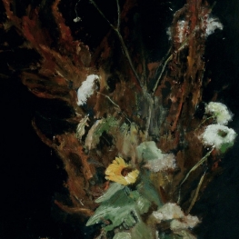 Wilde bloemen