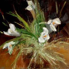 Witte crocussen