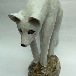 Artic fox - Isatis