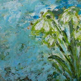 Contact - sneeuwklokjes