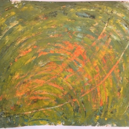 Uit het moeras groeien mooie planten