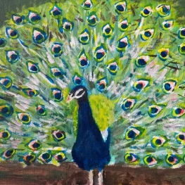 Pauw