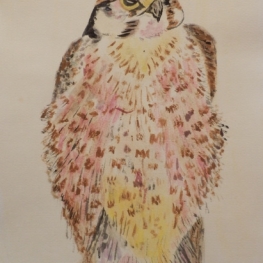 Zittende roofvogel (Aquarel)