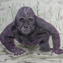Jonge gorilla.
