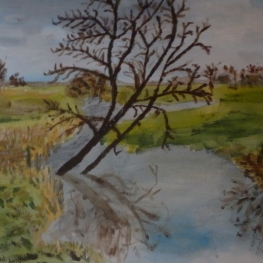 Landschap boompje water