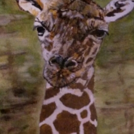 Giraffe 2