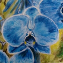 Blauwe orchidee