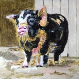 Een bijzonder varkentje