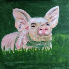 Varkentje in het gras