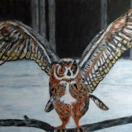 Uil in sneeuwlandschap