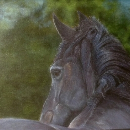 fries paard