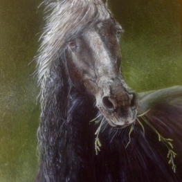 fries paard