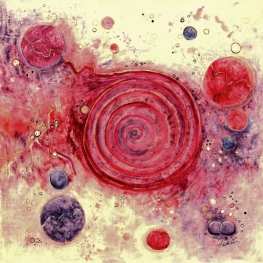 Catalogusnummer 1061