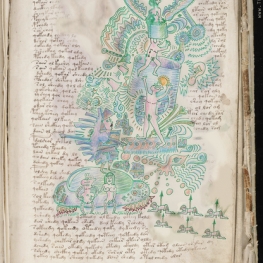 De Boezems strip nr.248