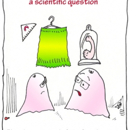 De Boezems strip nr.172