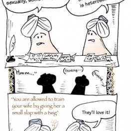 De Boezems strip nr.49