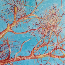 De notenboom van de buren