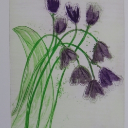 Tulpen V