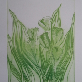 Tulpen I
