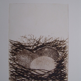 Vogelnestje I