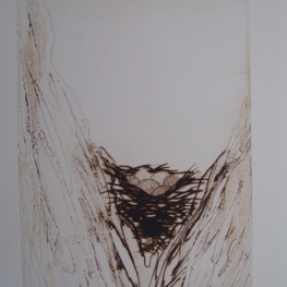 Vogelnestje II