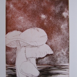 Paddenstoelen I