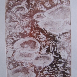 Paddenstoelen II