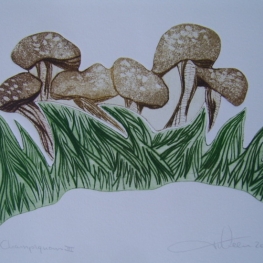 Paddenstoelen III