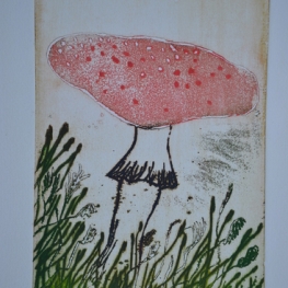 Paddenstoel II / Amanite