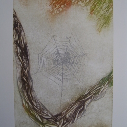 Spinnenweb / Toile