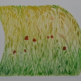 Korenveld / Champ de blé