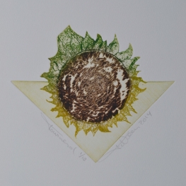 Zonnebloem / Tournesol