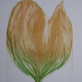 Tulp II