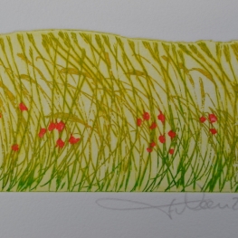 Champ de blé (mini)