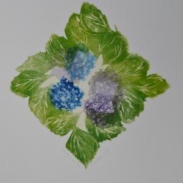 Hortensia