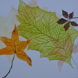 Feuilles II