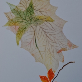 Feuilles VIII