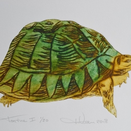 Schildpad I