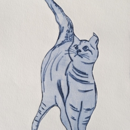 Kat VI