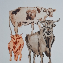 Vaches A