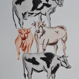 Vaches B