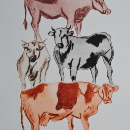 Vaches C
