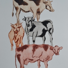 Vaches E