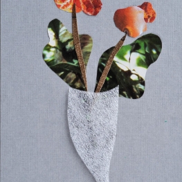 Fleurs C