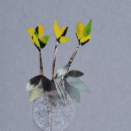 Fleurs E